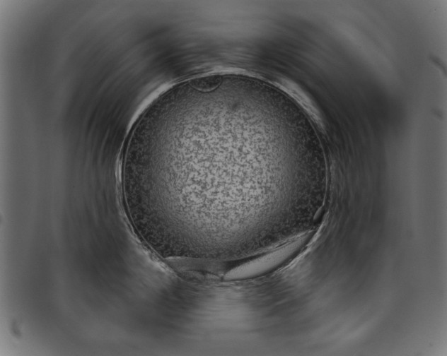 X0000097871198200803281154