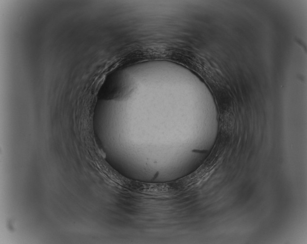 X0000097871201200803281153