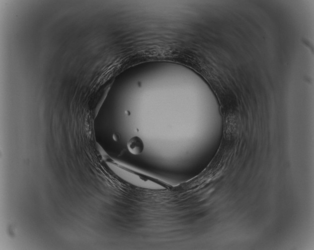 X0000097871202200803281153