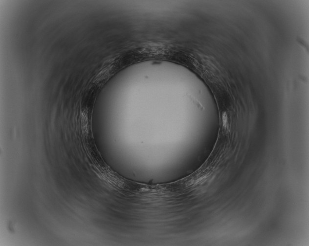 X0000097871203200803281153