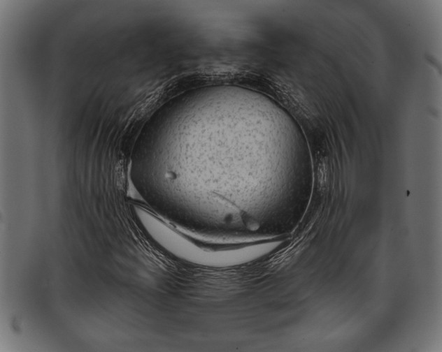 X0000097871204200803281153