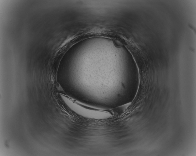 X0000097871206200803281153