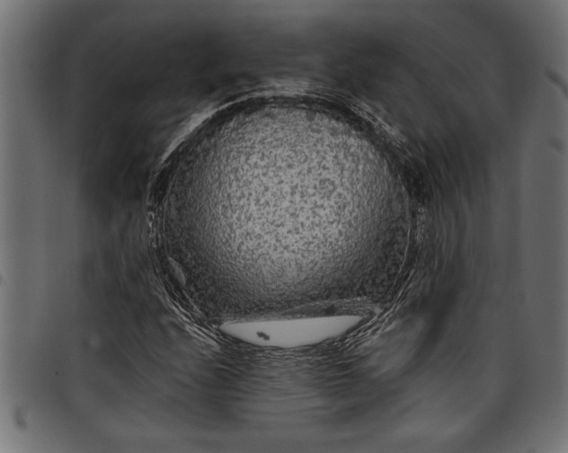 X0000097871208200803281153