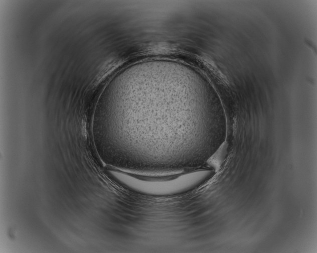 X0000097871209200803281154