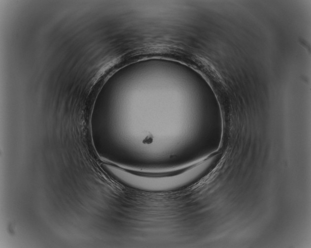 X0000097871210200803281154