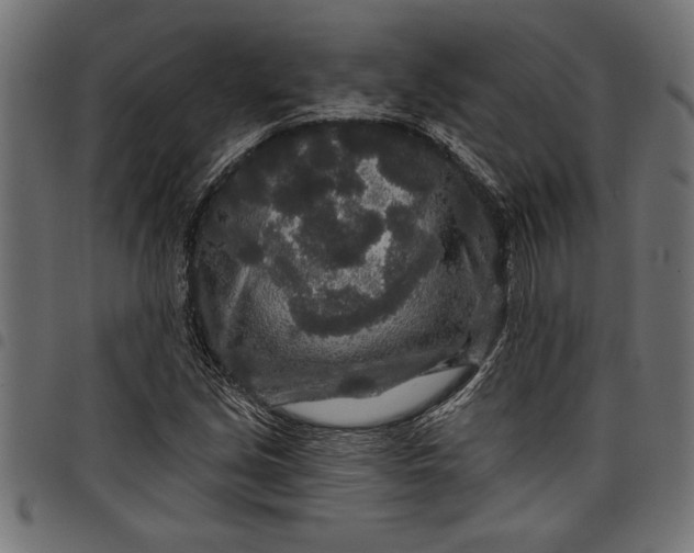 X0000097871213200803281154