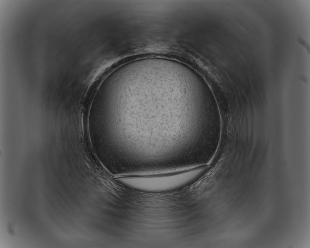 X0000097871214200803281154