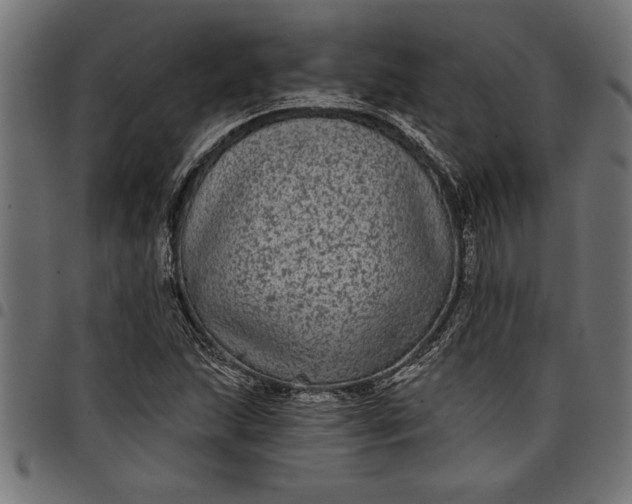 X0000097871215200803281154