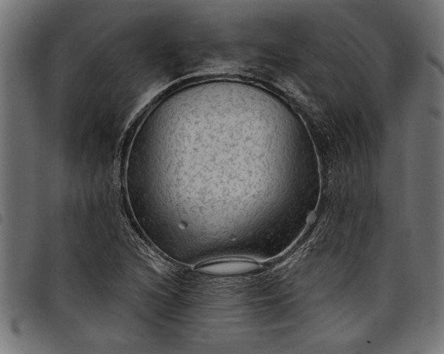 X0000097871216200803281154