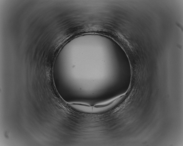 X0000097871217200803281154