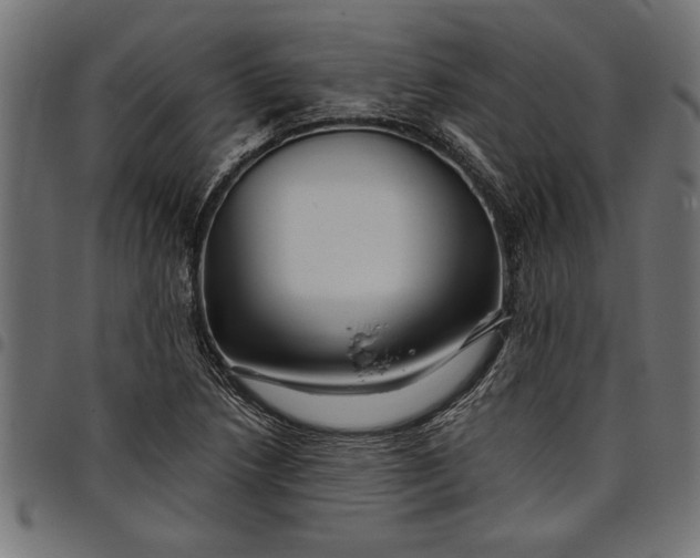 X0000097871218200803281154