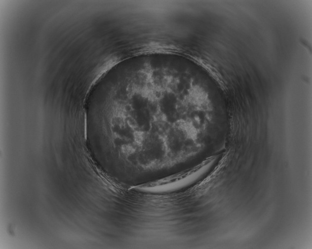 X0000097871219200803281154