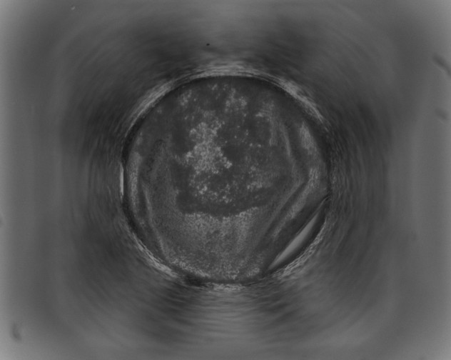 X0000097871221200803281154