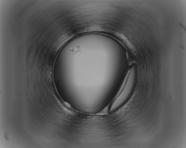 X0000097871225200803281154