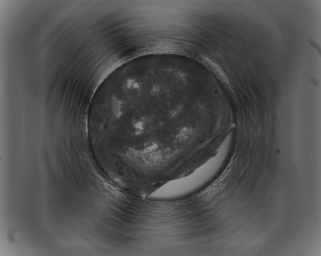 X0000097871226200803281154