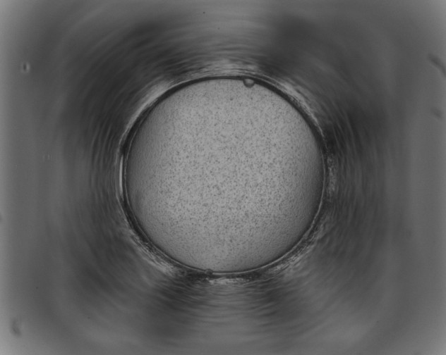 X0000097871227200803281154