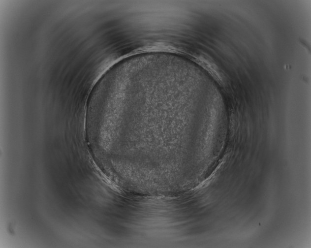 X0000097871228200803281154
