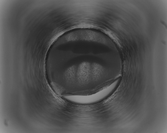 X0000097871229200803281154