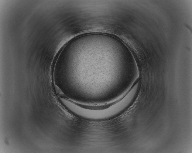 X0000097871230200803281154