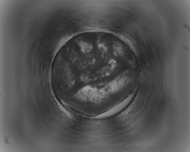 X0000097871231200803281154