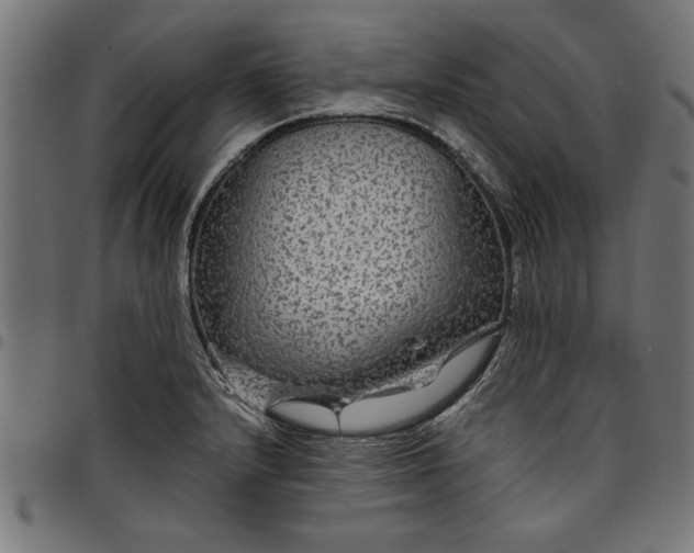 X0000097871232200803281154