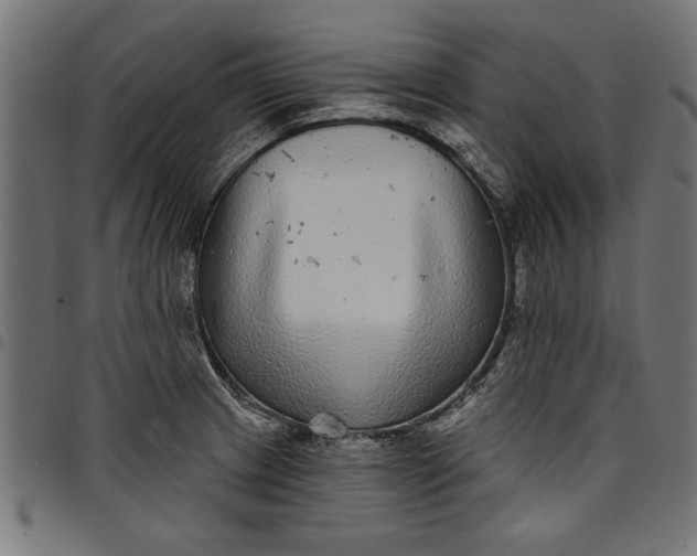 X0000097871233200803281154