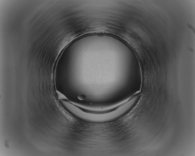 X0000097871234200803281154