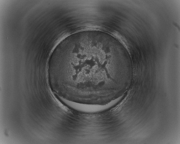 X0000097871235200803281154