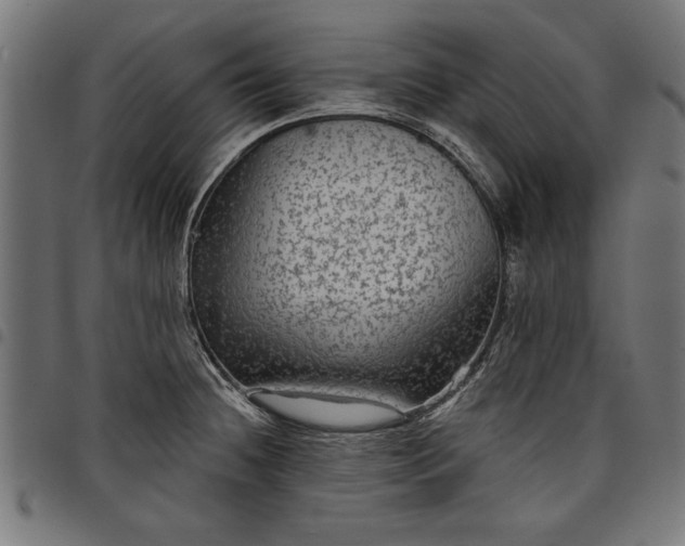 X0000097871236200803281154