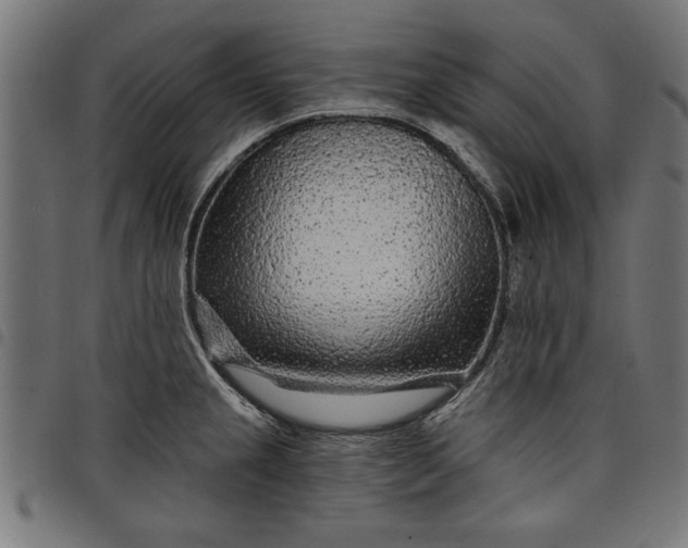 X0000097871237200803281154