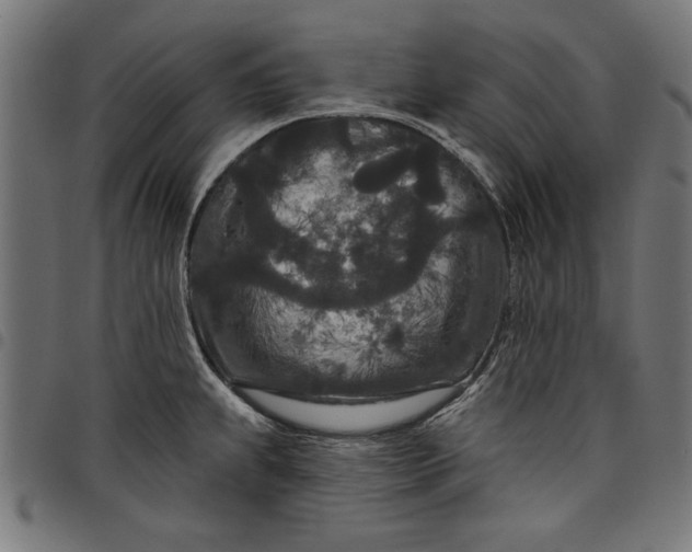 X0000097871239200803281154