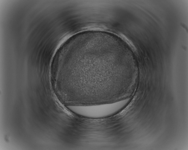 X0000097871240200803281154