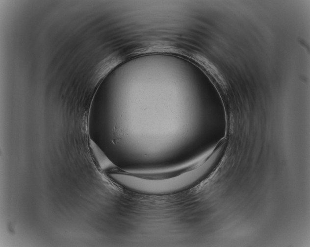 X0000097871241200803281154