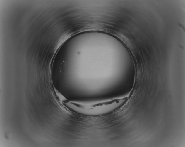 X0000097871242200803281154