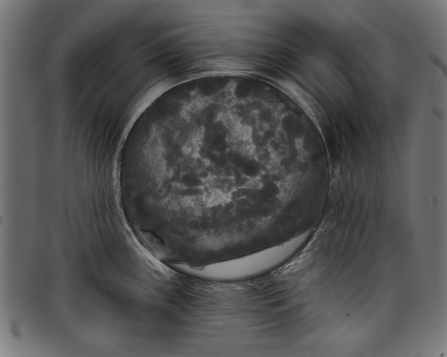 X0000097871243200803281154