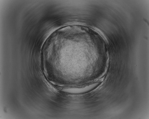 X0000097871244200803281154