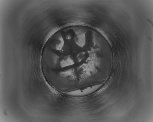 X0000097871245200803281154
