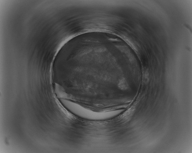 X0000097871246200803281154