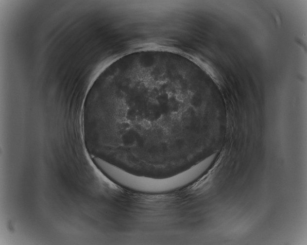 X0000097871247200803281154