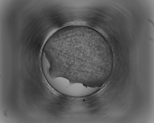 X0000097871248200803281154