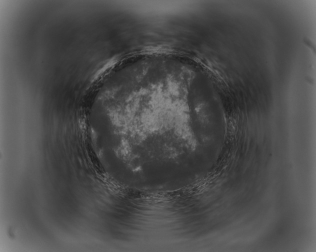 X0000097871254200803281153