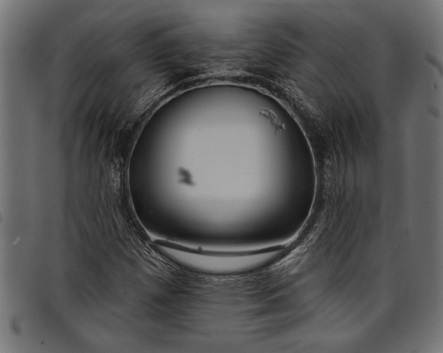 X0000097871257200803281153