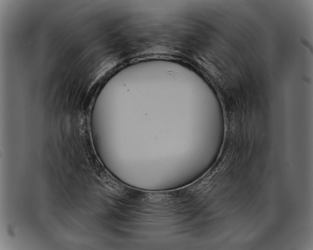 X0000097871258200803281153