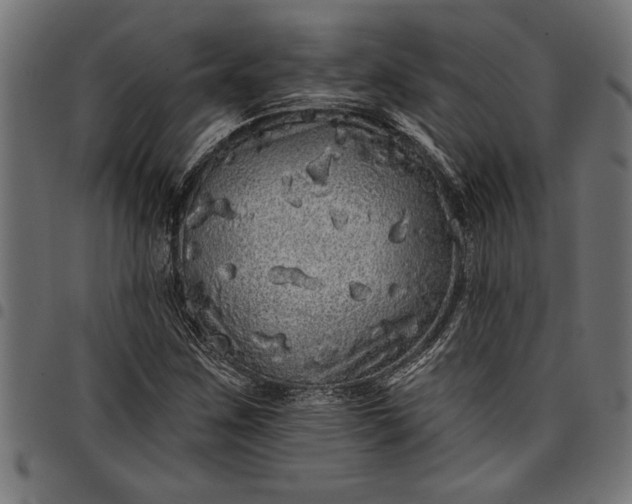 X0000097871259200803281153