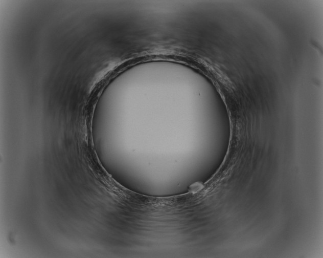 X0000097871262200803281153