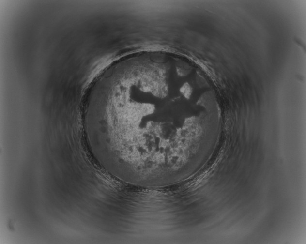 X0000097871263200803281153