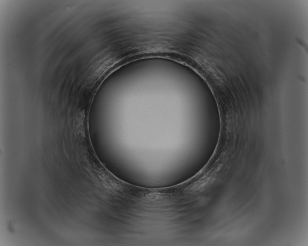 X0000097871265200803281153