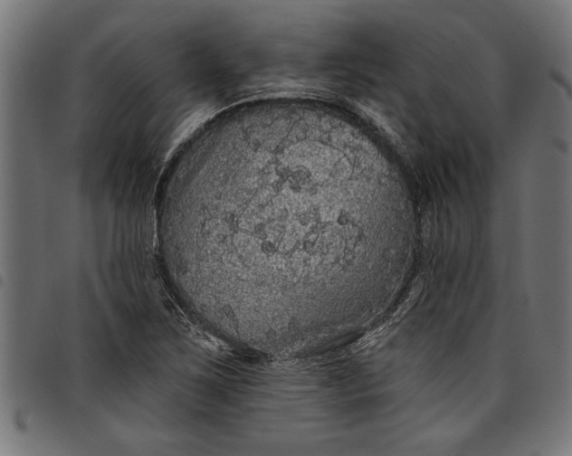 X0000097871267200803281153