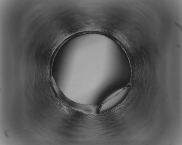 X0000097871268200803281153