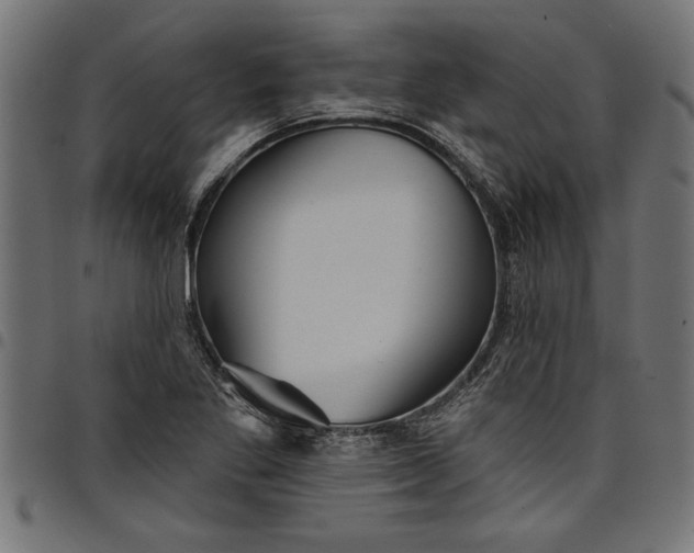 X0000097871269200803281153